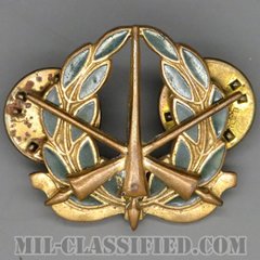 スペシャルサービス章（Special Services）[カラー/1940-1950s/兵科章/バッジ/中古1点物]の画像