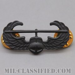 空中突撃章 (エアアサルト)（Air Assault Badge）[サブデュード（ブラックメタル）/バッジ/中古1点物]の画像