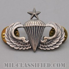 空挺章 (シニア)（Parachutist Badge, Senior）[カラー/1960s/燻し銀（銀張り・Silver Filled）/バッジ/中古1点物]の画像