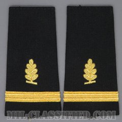 少尉 (衛生業務科)（Ensign (ENS), Medical Service Corps）[ショルダー階級章/ペア（2枚1組）/中古1点物]の画像