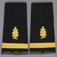 少尉 (衛生業務科)（Ensign (ENS), Medical Service Corps）[ショルダー階級章/ペア（2枚1組）/中古1点物]の画像