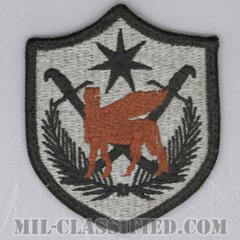 イラク多国籍軍（Multi-National Force - Iraq (MNF-I)）[UCP（ACU）/メロウエッジ/ベルクロ付パッチ/中古1点物]の画像