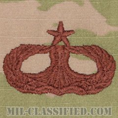 空港作戦将校章 (シニア)（Airfield Operations Officer, Senior）[OCP（3C）/ブラウン刺繍/パッチ]の画像