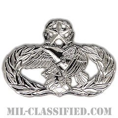 兵站即応章 (マスター)（Logistics Readiness Badge, Master）[カラー/鏡面仕上げ/バッジ]の画像