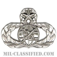 外国地域将校専門職業分野章 (マスター)（Foreign Area Officer (FAO) Career Field Badge, Master）[カラー/鏡面仕上げ/バッジ]の画像