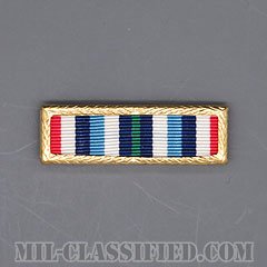 DHS Outstanding Unit Award [リボン（略綬・略章・Ribbon）/スモールフレーム付/陸軍以外用部隊表彰（Unit Award）]の画像