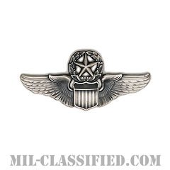 航空機操縦士章 (コマンド・パイロット)（Air Force Command Pilot Badge）[カラー/燻し銀/ミニサイズ/バッジ]の画像