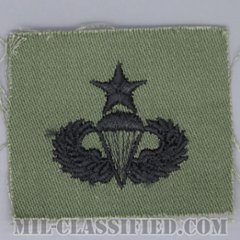 空挺章 (シニア)（Parachutist Badge, Senior, Senior）[サブデュード/1960s/コットン100％/パッチ/1点物]の画像