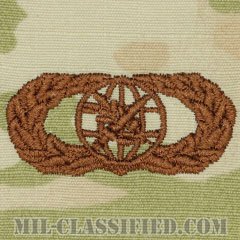 外国地域将校専門職業分野章 (ベーシック)（Foreign Area Officer (FAO) Career Field Badge, Basic）[OCP（3C）/ブラウン刺繍/パッチ]の画像
