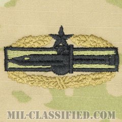 マスター戦闘行動章 (セカンド)（Master Combat Action Badge (MCAB), Second Award）[OCP（3C）/パッチ]の画像