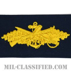 Seabee Combat Warfare Specialist [カバーオール/生地テープパッチ]の画像