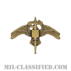 アメリカ海兵隊特殊作戦コマンド章（MARSOC）[カラー/燻し金/ミニサイズ/バッジ]の画像