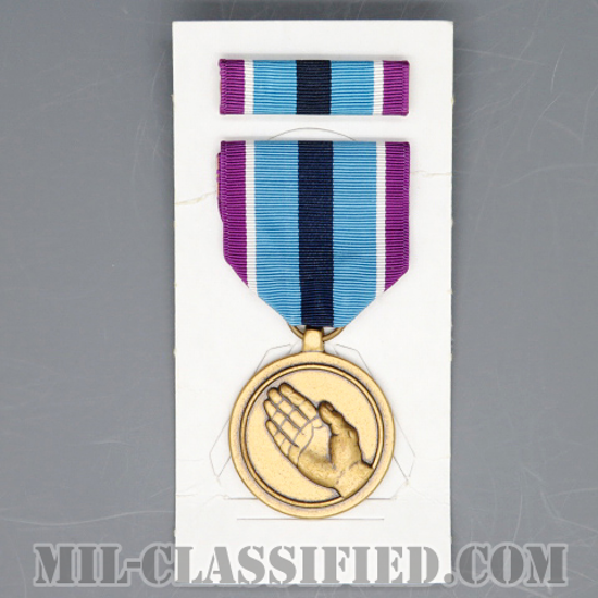 Humanitarian Service Medal [メダル（勲章・Medal）リボン（略綬・略章・Ribbon）セット]画像