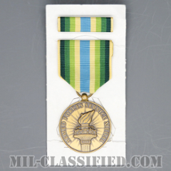 Armed Forces Service Medal [メダル（勲章・Medal）リボン（略綬・略章・Ribbon）セット]の画像