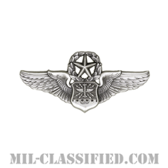航空士章 (ナビゲーター・マスター)（Navigator/Observer Badge, Master）[カラー/燻し銀/ミニサイズ/バッジ]の画像