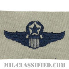航空機操縦士章 (コマンド・パイロット)（Air Force Command Pilot Badge）[ABU/パッチ]の画像
