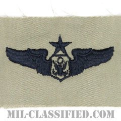 航空機搭乗員章 (将校用シニア・エアクルー)（Air Force Officer Senior Aircrew Badge）[ABU/パッチ]の画像