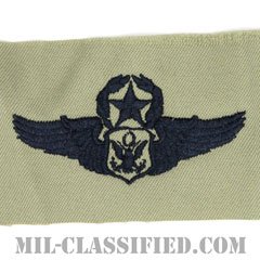 航空機搭乗員章 (将校用マスター・エアクルー)（Air Force Officer Master Aircrew Badge）[ABU/パッチ]の画像