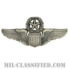 航空機操縦士章 (コマンド・パイロット)（Air Force Command Pilot Badge）[カラー/燻し銀/バッジ]の画像