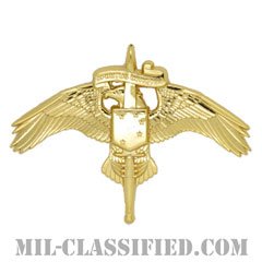 アメリカ海兵隊特殊作戦コマンド章（MARSOC）[カラー/バッジ]の画像