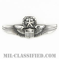 航空機操縦士章 (コマンド・パイロット)（Air Force Command Pilot Badge）[カラー/燻し銀/ピンバック/バッジ/レプリカ]の画像