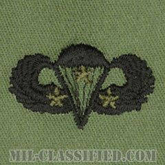 戦闘空挺章 (ベーシック) 降下3回（Combat Parachutist Badge, Basic, Three Jump）[サブデュード/パッチ]の画像