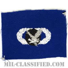 補給・燃料章 (ベーシック)（Supply and Fuels Badge, Basic）[カラー/空軍ブルー生地/パッチ]の画像