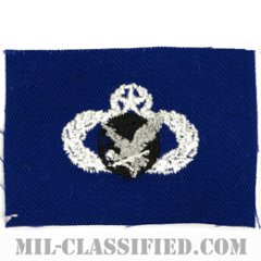 補給・燃料章 (マスター)（Supply and Fuels Badge, Master）[カラー/空軍ブルー生地/パッチ]の画像