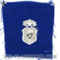 歯科章 (チーフ)（Dental Corps Badge, Chief）[カラー/空軍ブルー生地/パッチ]画像