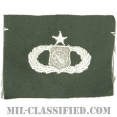 兵器指揮章 (シニア)（Weapons Director Badge, Senior）[カラー/空軍セージグリーン生地/パッチ]の画像