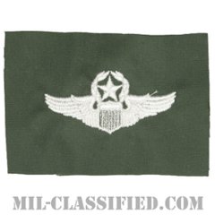 航空機操縦士章 (コマンド・パイロット)（Air Force Command Pilot Badge）[カラー/空軍セージグリーン生地/パッチ]の画像