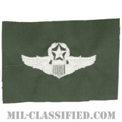 航空機操縦士章 (コマンド・パイロット)（Air Force Command Pilot Badge）[カラー/空軍セージグリーン生地/パッチ]画像