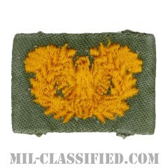 准尉章（Warrant Officers）[カラー/兵科章/パッチ/中古1点物]の画像