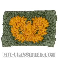 准尉章（Warrant Officers）[カラー/兵科章/パッチ/中古1点物]の画像
