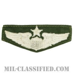 航空機操縦士章 (シニア・パイロット)（Air Force Senior Pilot Badge）[カラー/パッチ/中古1点物]の画像