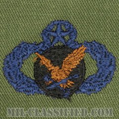 補給・燃料章 (マスター)（Supply and Fuels Badge, Master）[サブデュード/ブルー刺繍/パッチ]の画像