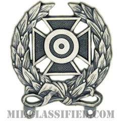 射撃技術章 (エキスパート)（Marksmanship Badge, Expert）[カラー/燻し銀/バッジ]の画像