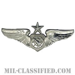 空中戦闘管制章 (シニア)（Air Battle Manager Badge, Senior）[カラー/鏡面仕上げ/バッジ]の画像