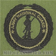 州兵募兵維持章 (マスター)（Army National Guard Recruiting and Retention Badge, Master）[サブデュード/パッチ]の画像