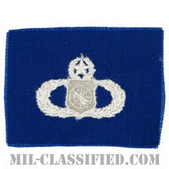 兵器指揮章 (マスター)（Weapons Director Badge, Master）[カラー/空軍ブルー生地/パッチ]の画像