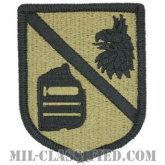 国防総省外国語学校（Defense Language Institute Foreign Language Center）[OCP/メロウエッジ/ベルクロ付パッチ]の画像