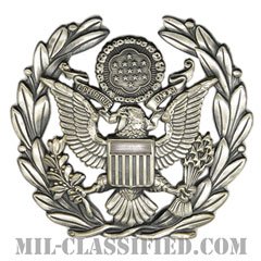 アメリカ空軍制帽用帽章 (空軍最先任上級曹長)（Service Cap Device, Chief Master Sergeant of the AirForce）[カラー/燻し銀/バッジ]の画像