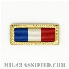 Philippine Presidential Unit Citation [リボン（略綬・略章・Ribbon）/ラージフレーム付/陸軍用部隊表彰（Unit Award）]の画像