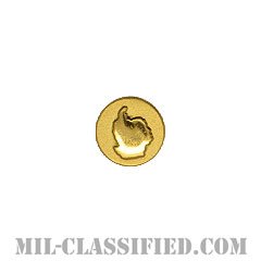 ウィンターオーバー (ゴールド)（Disk, Wintered Over, Gold）[リボン用デバイス（Attachment Device）]の画像