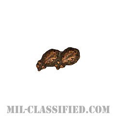 オークリーフクラスター2 (ブロンズ)（Oak Leaf Cluster, 2, Bronze）[リボン用デバイス（Attachment Device）]の画像