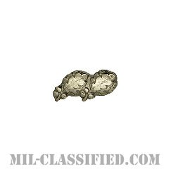 オークリーフクラスター2 (シルバー)（Oak Leaf Cluster, 2, Silver）[リボン用デバイス（Attachment Device）]の画像