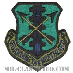 第119戦闘群（119th Fighter Group）[サブデュード/カットエッジ/パッチ]の画像