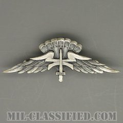 自由降下章（ベーシック）試作品（Freefall Parachutist Badge, HALO, Basic Prototype）[カラー/1980s/燻し銀/バッジ/1点物]の画像