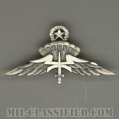 自由降下章（マスター）試作品（Freefall Parachutist Badge, HALO, Jumpmaster, Prototype）[カラー/1980s/燻し銀/バッジ/1点物]の画像