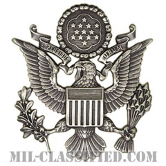 アメリカ空軍制帽用帽章 (将校用・男性用)（Air Force Service Cap Device, Officer, Male）[カラー/燻し銀/バッジ]画像